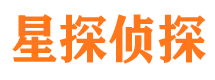 阳城市调查公司